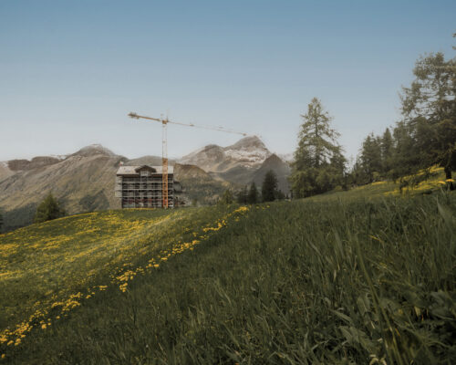 Villa klint during summer with grass and yellow flowers in the foreground and the mountains in the background